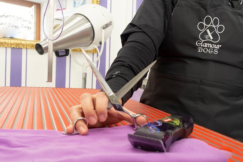 Toelettatura Glamour Dogs Trieste - Foto 6