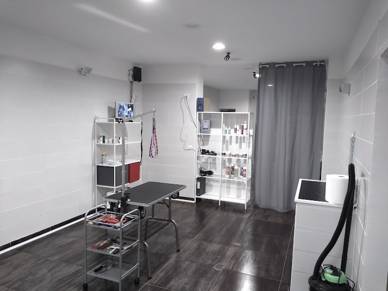 Toelettatura Gli Amici di Pablo - Foto 3