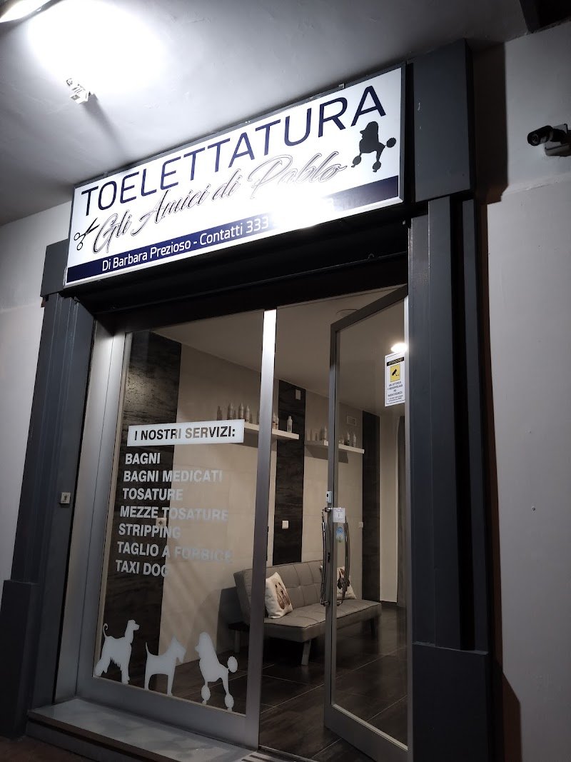 Toelettatura Gli Amici di Pablo - Foto 4