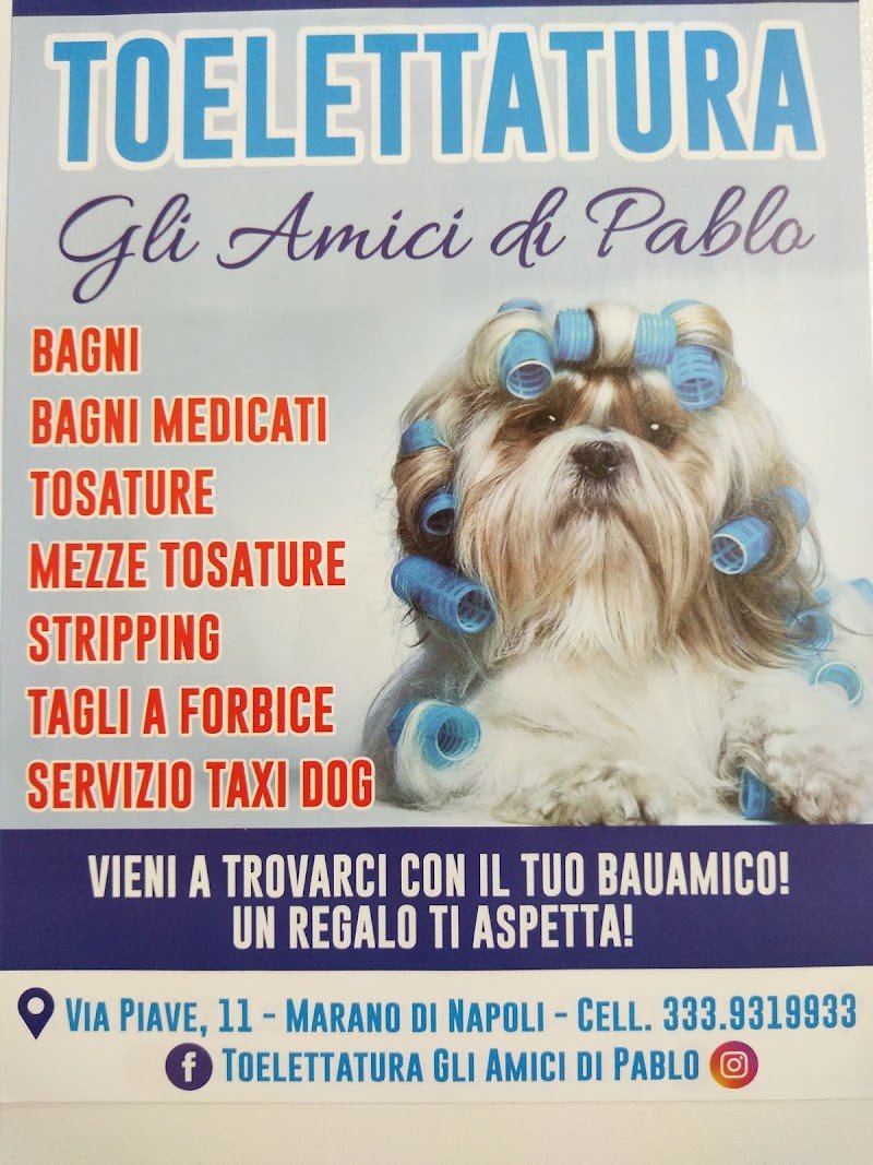 Toelettatura Gli Amici di Pablo - Foto 1