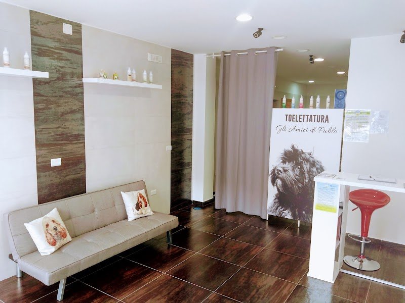 Toelettatura Gli Amici di Pablo - Foto 2