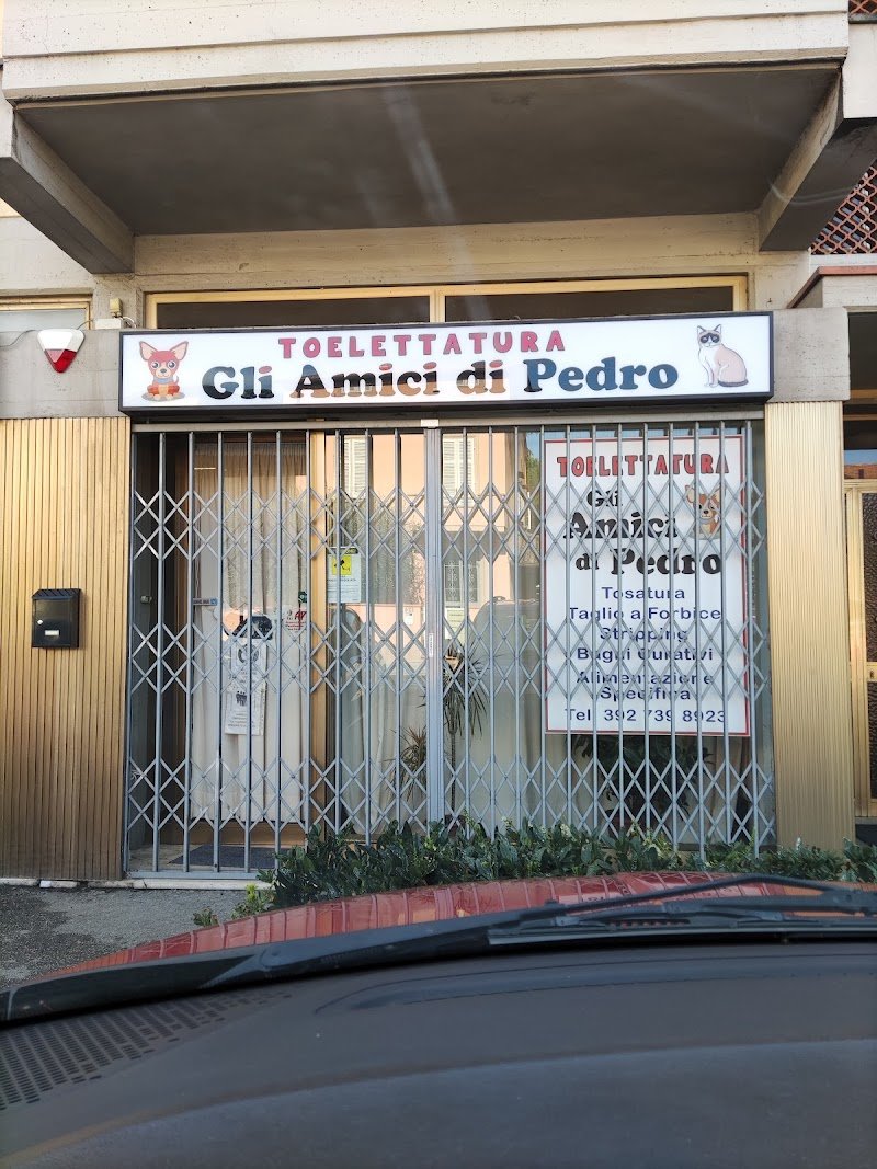 Toelettatura gli Amici di Pedro - Foto 2