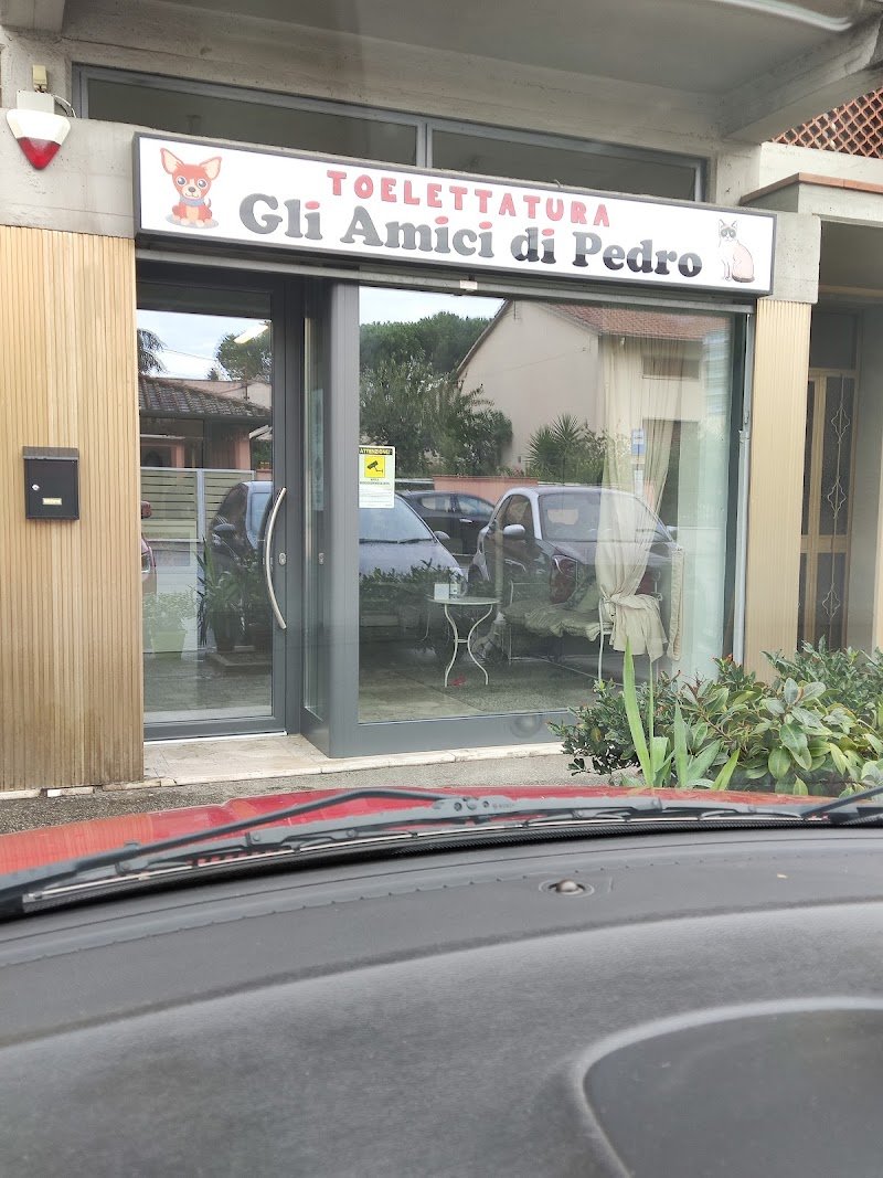 Toelettatura gli Amici di Pedro - Foto 4