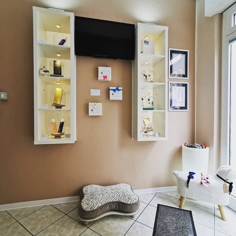 Toelettatura Grooming Dog di Davide Buriani - Foto 1