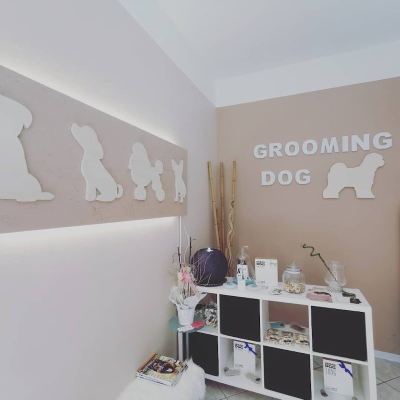 Toelettatura Grooming Dog di Davide Buriani - Foto 2