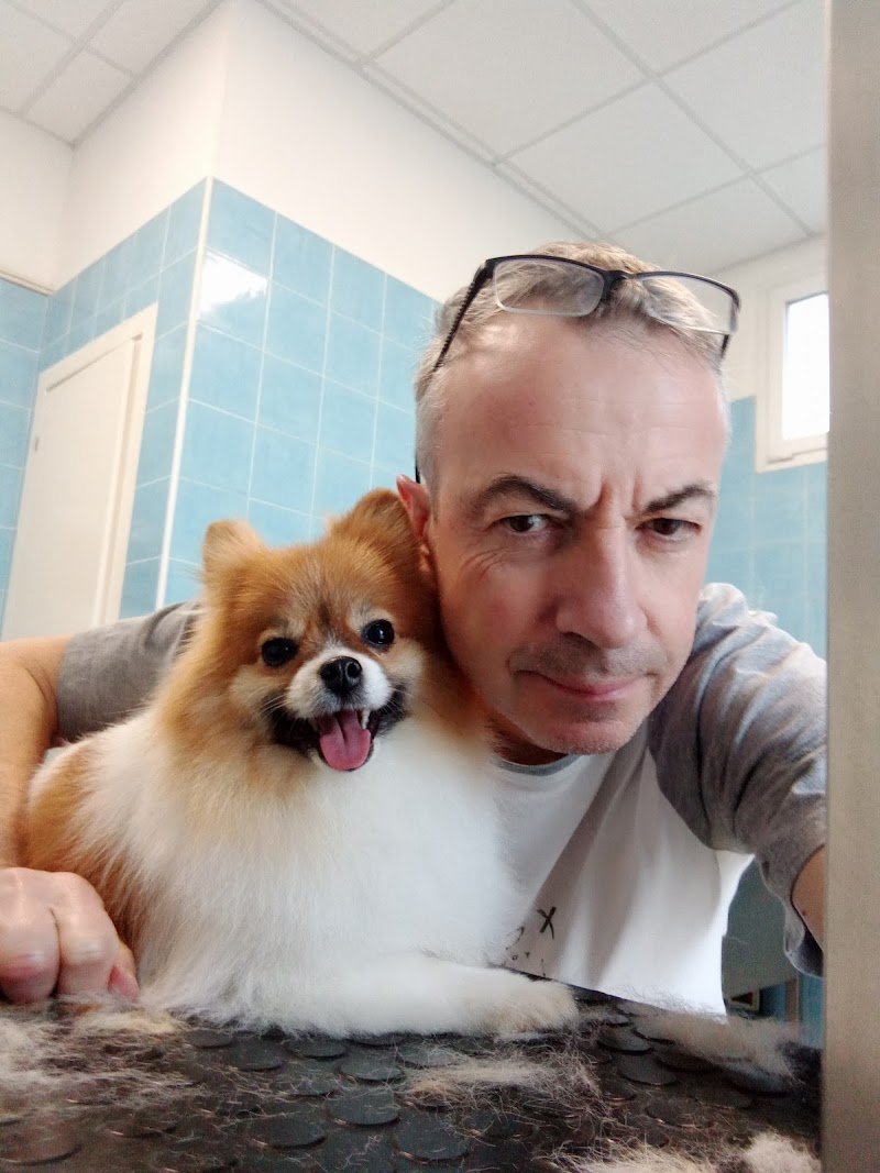 Toelettatura Hobby - Foto 1