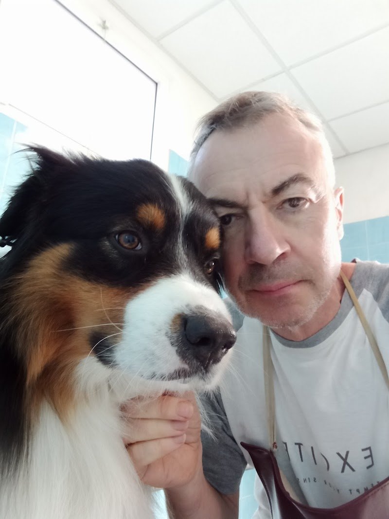 Toelettatura Hobby - Foto 6