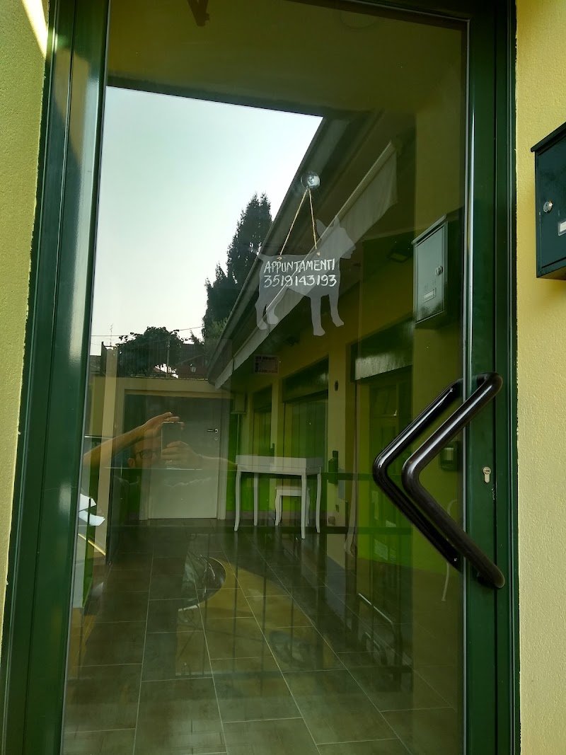 Toelettatura I BULLI DEL QUARTIERE - Foto 5