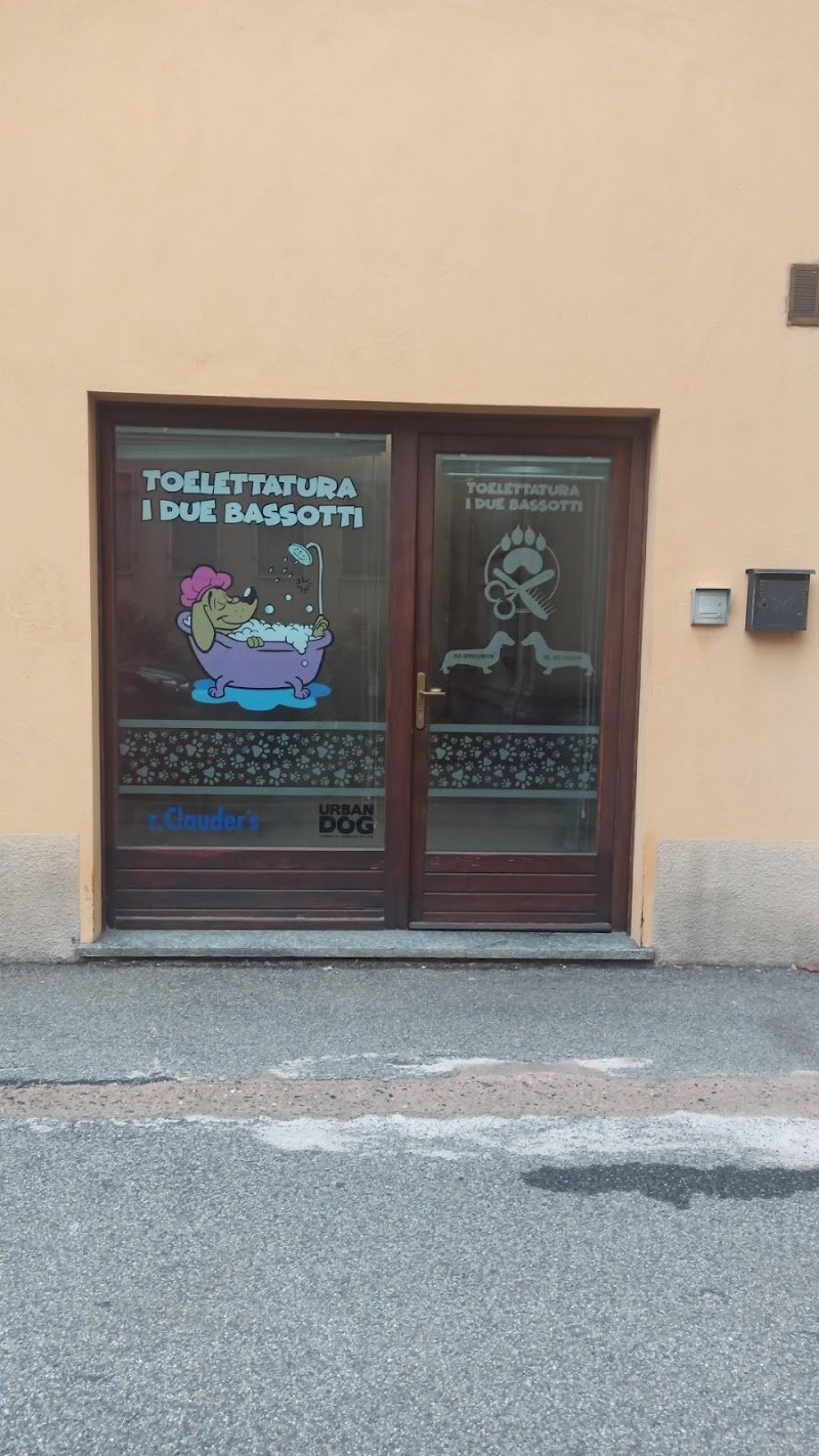 Toelettatura I due bassotti - Foto 1