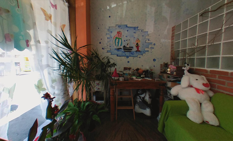 Toelettatura Idefix - Foto 1