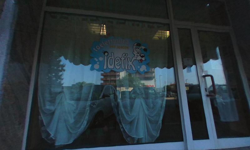 Toelettatura Idefix - Foto 2