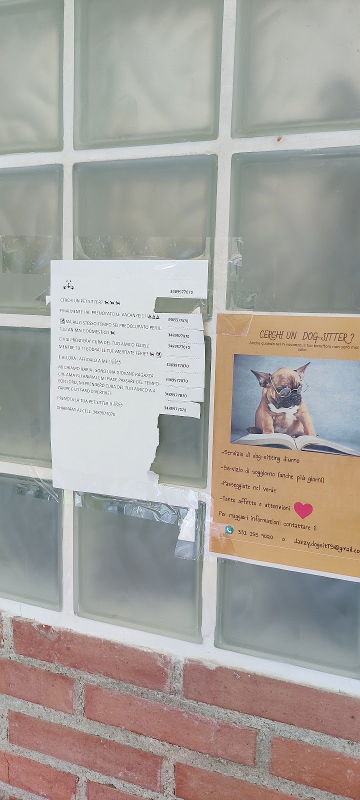 Toelettatura Idefix - Foto 4