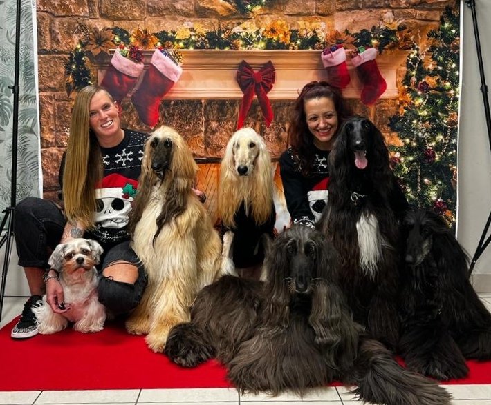 Toelettatura il Bagnetto...Way to Love your Pets di Marika Bramini & Daiana Maiocchi - Foto 1