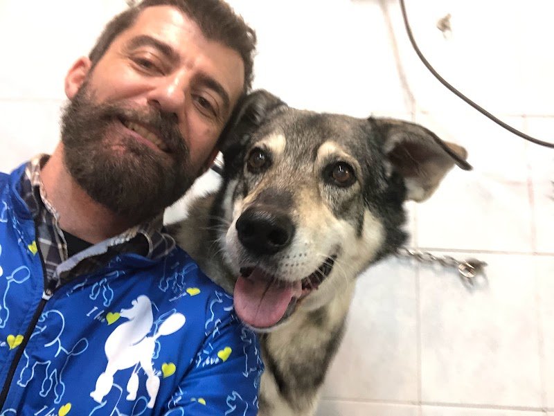 Toelettatura Il Bagno di Fido - Foto 2