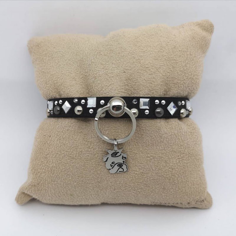 Toelettatura Il Bagno di Fido - Foto 4