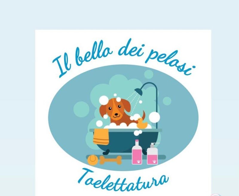 Toelettatura Il Bello Dei Pelosi - Foto 1