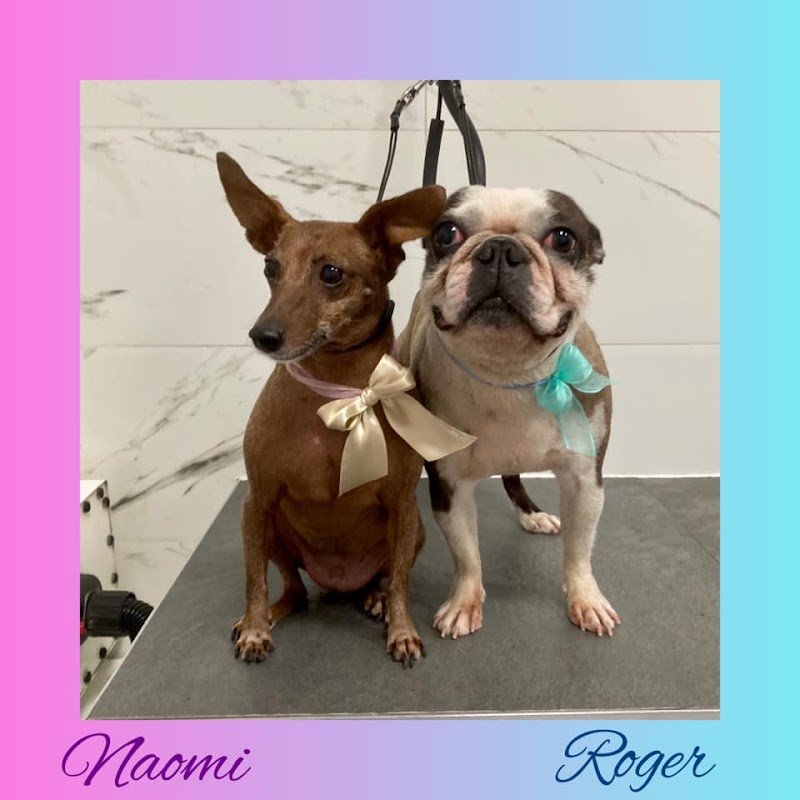 Toelettatura il branco - Foto 3