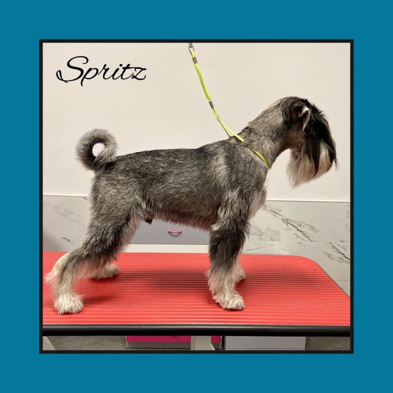 Toelettatura il branco - Foto 6