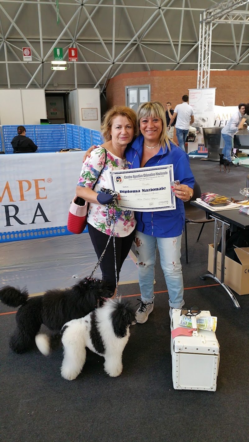 Toelettatura Il Cucciolo - Foto 6