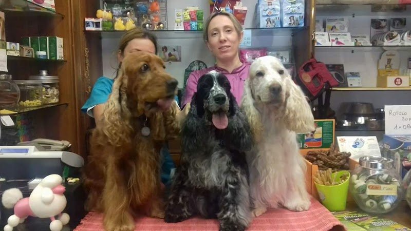 Toelettatura Irene e Raffaella - Foto 3