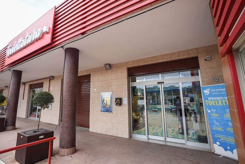 Toelettatura Joe Zampetti Bisceglie - By Robus&GliAltri di Rosaria Maria Rana - Foto 1