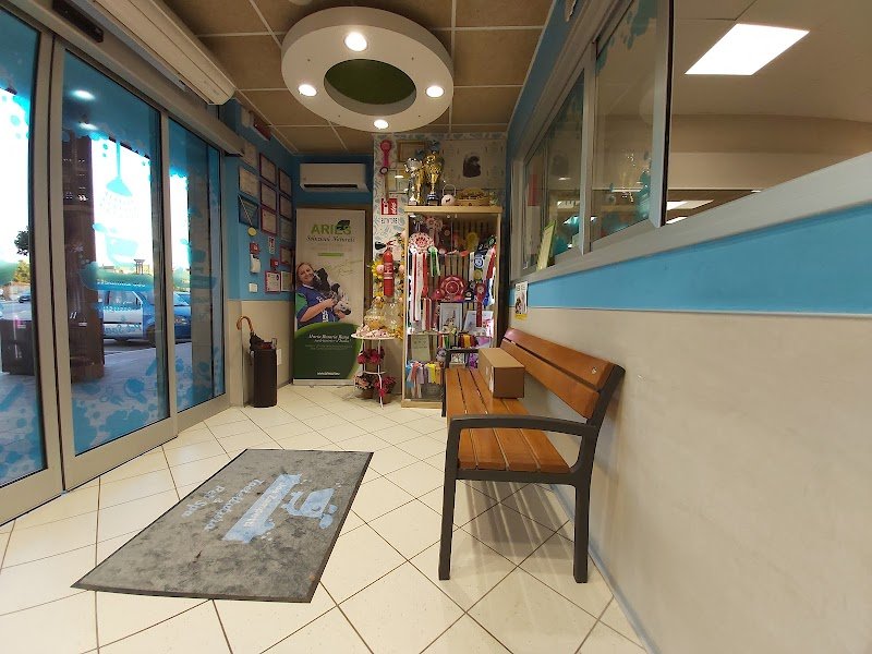 Toelettatura Joe Zampetti Bisceglie - By Robus&GliAltri di Rosaria Maria Rana - Foto 2