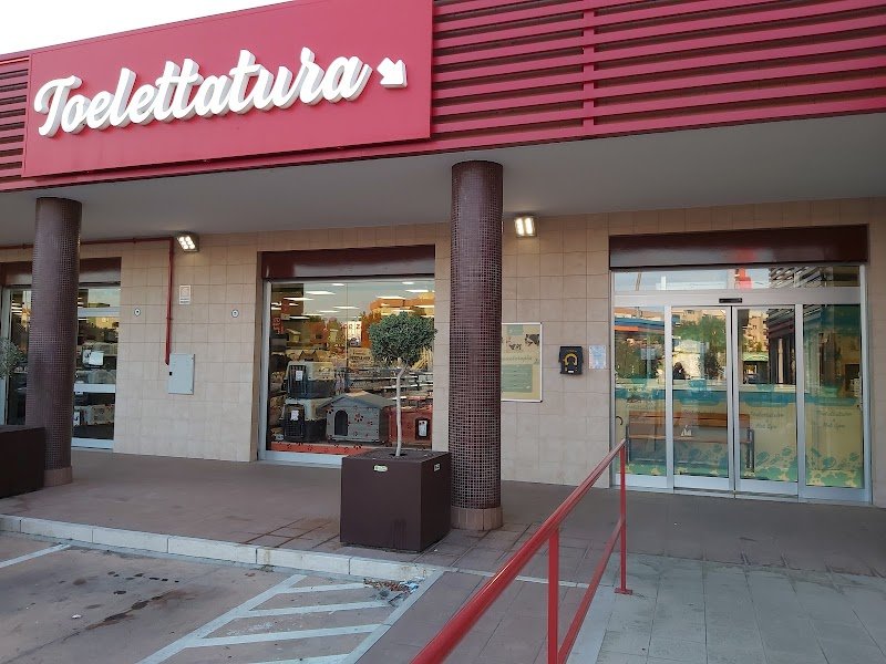 Toelettatura Joe Zampetti Bisceglie - By Robus&GliAltri di Rosaria Maria Rana - Foto 5