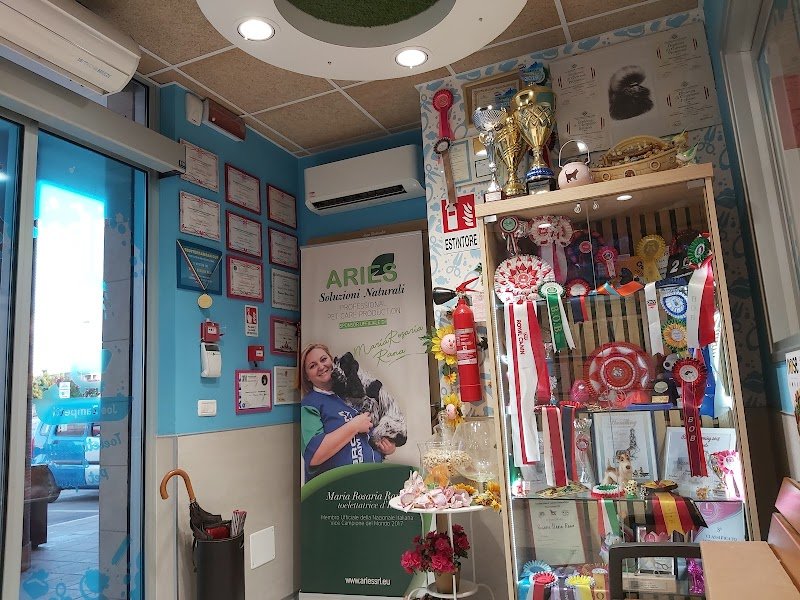 Toelettatura Joe Zampetti Bisceglie - By Robus&GliAltri di Rosaria Maria Rana - Foto 6