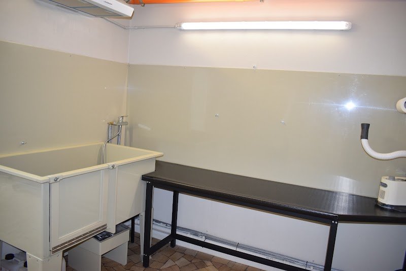 Toelettatura Kurama - Foto 1