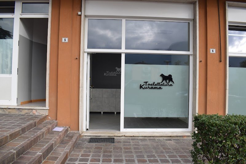 Toelettatura Kurama - Foto 2