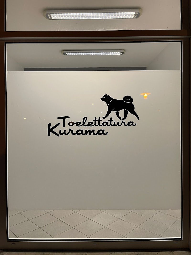 Toelettatura Kurama - Foto 3