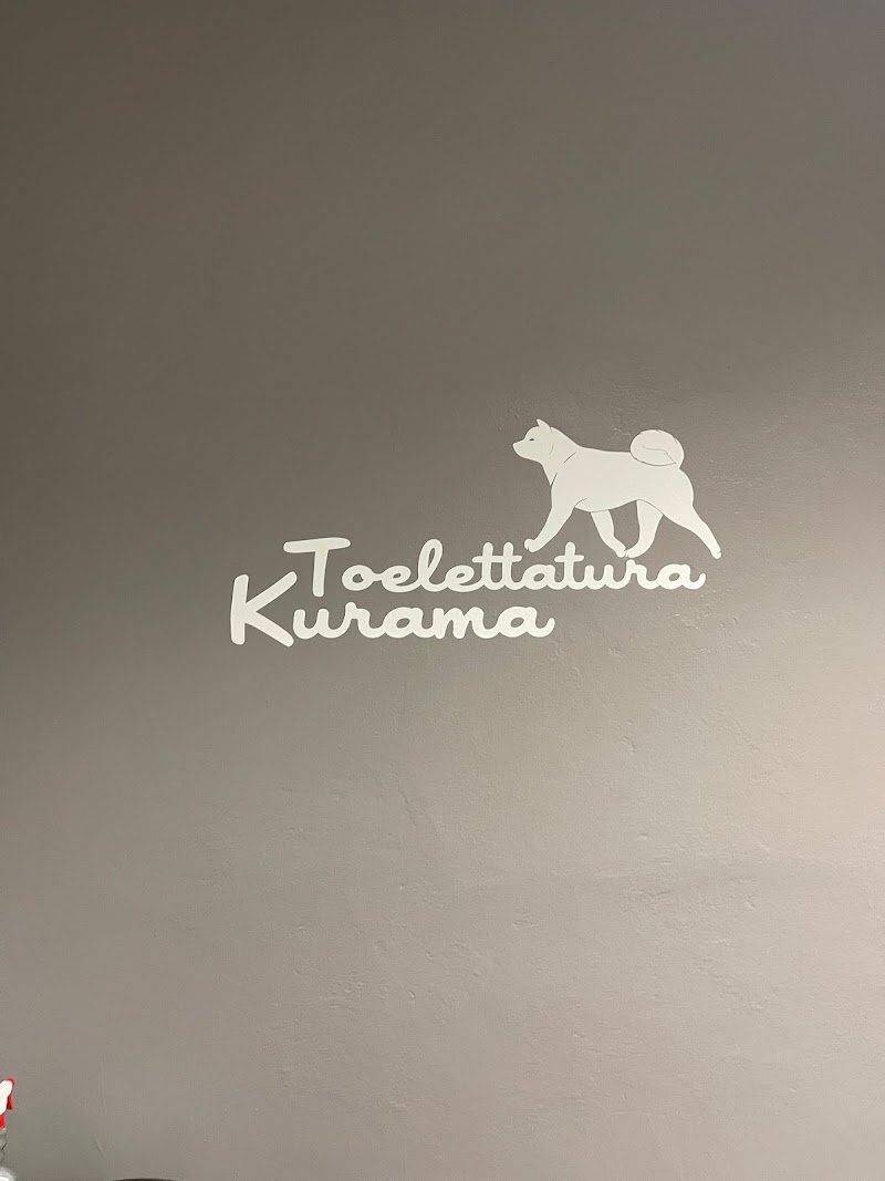 Toelettatura Kurama - Foto 5