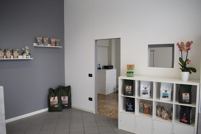 Toelettatura Kurama - Foto 6