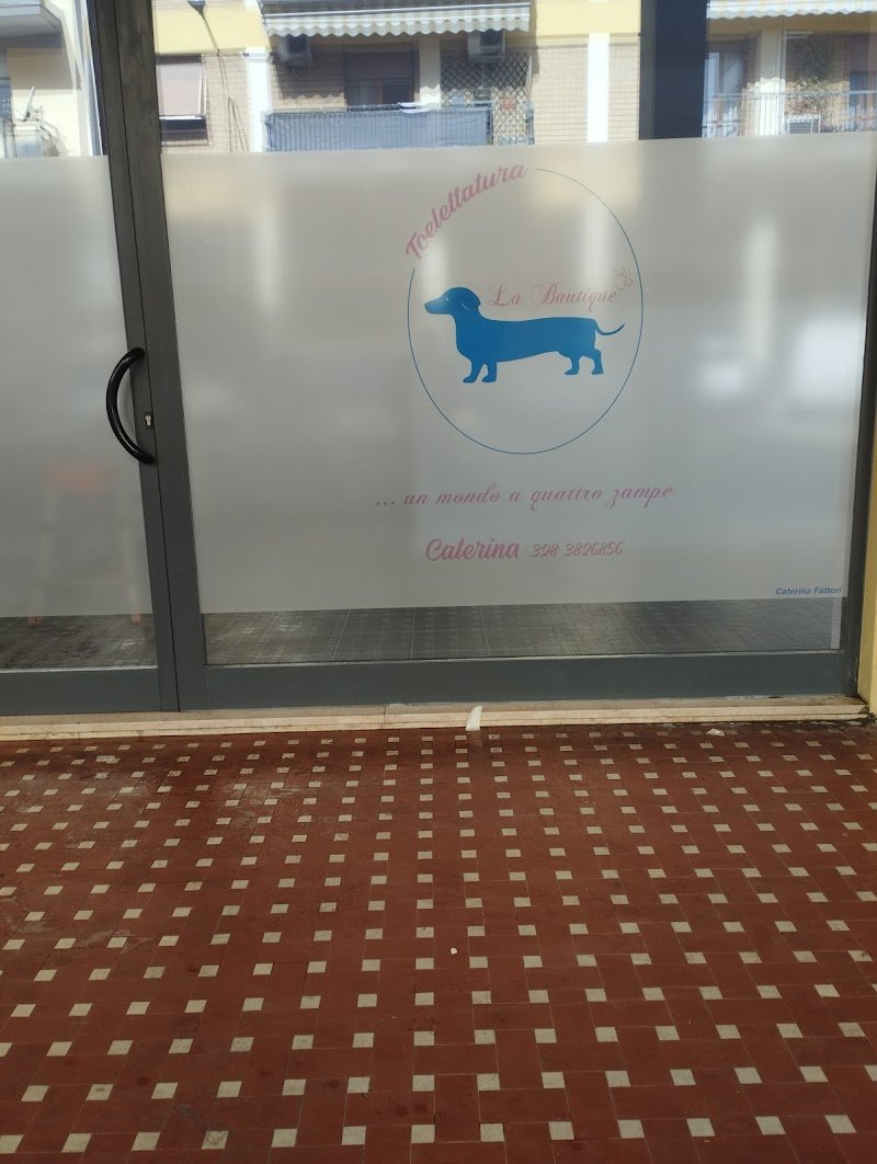 Toelettatura La Bautique di Caterina Fattori - Foto 1