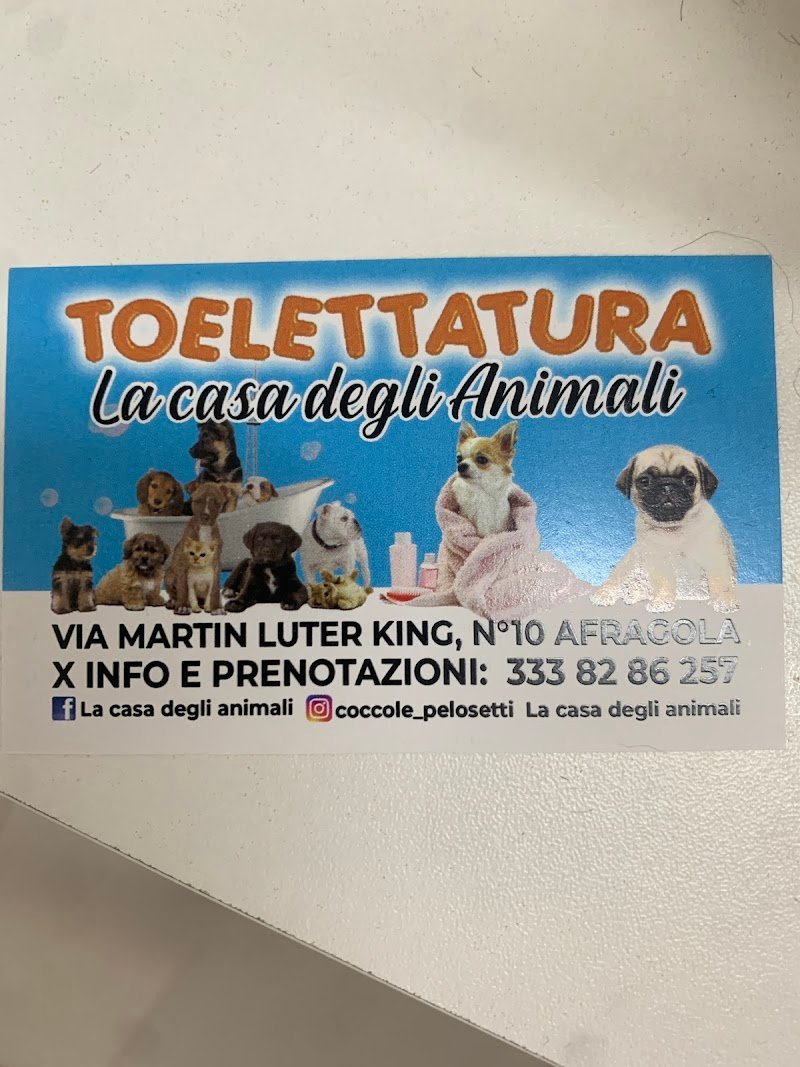 Toelettatura La Casa Degli Animali - Foto 4