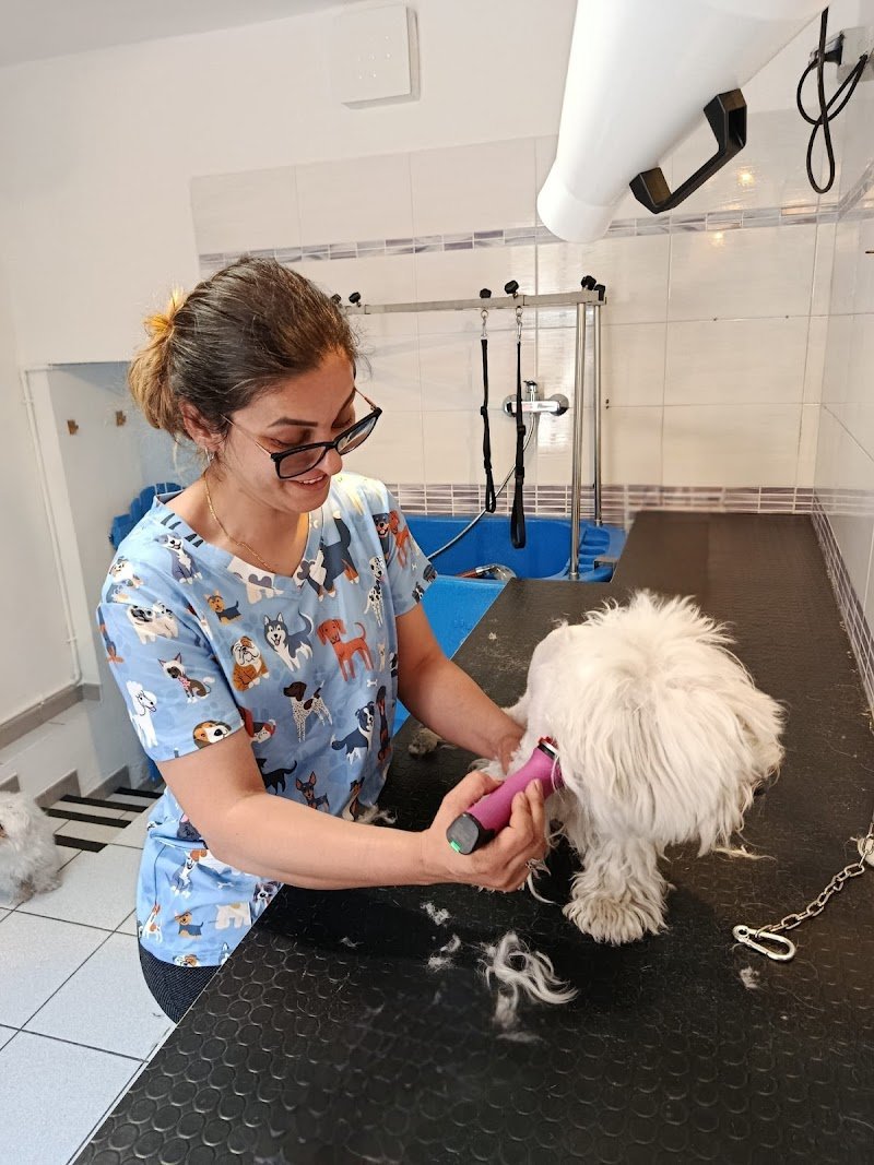 Toelettatura La Casa di Simba - Foto 1