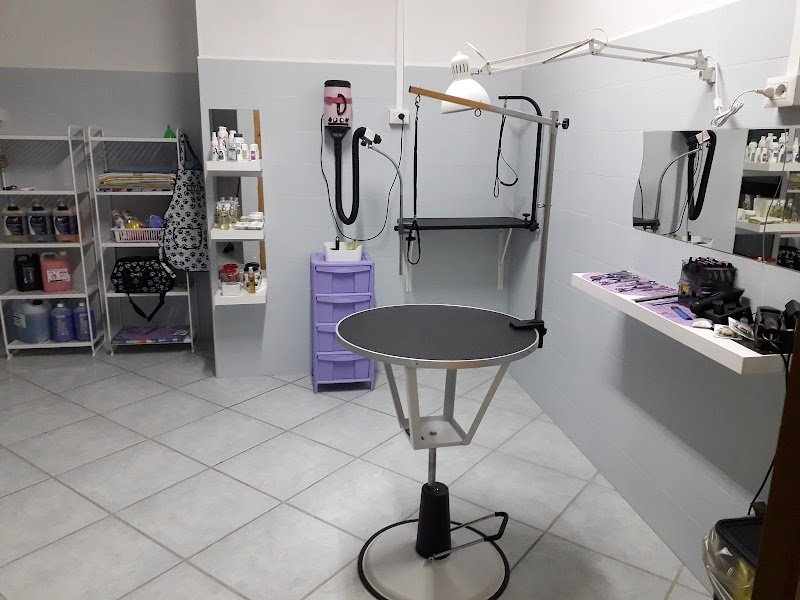 Toelettatura La Fauna - Foto 1