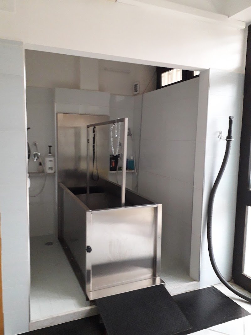 Toelettatura La Fauna - Foto 4