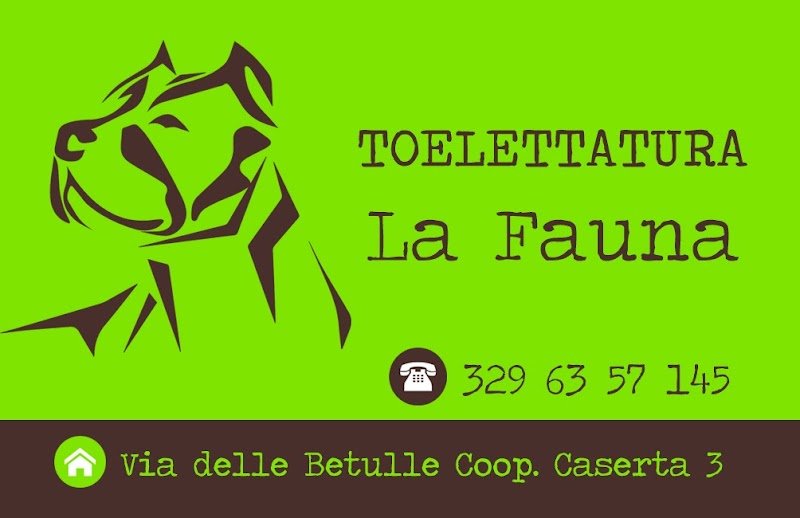 Toelettatura La Fauna - Foto 5