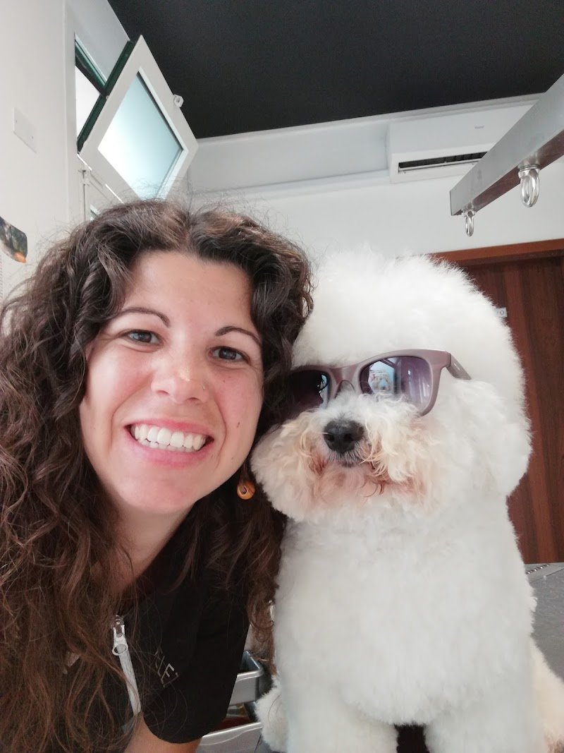 Toelettatura La spa di Snoopy - Foto 1