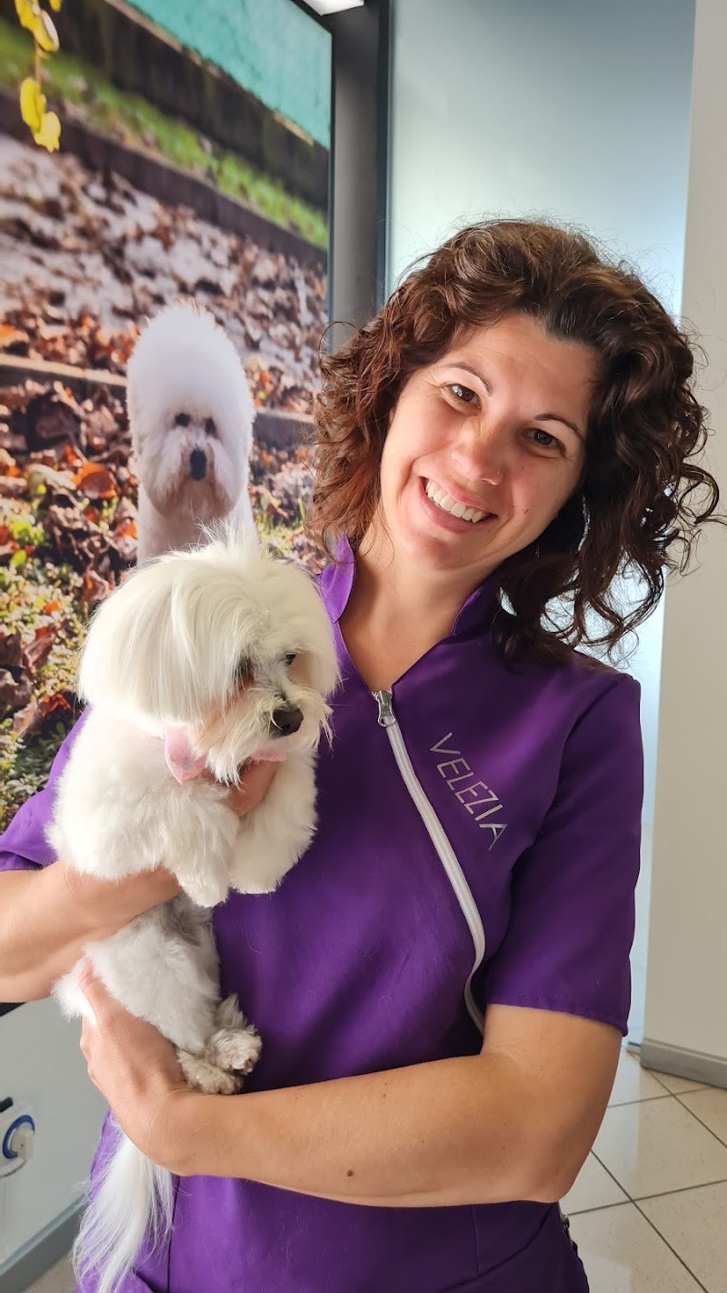 Toelettatura La spa di Snoopy - Foto 4