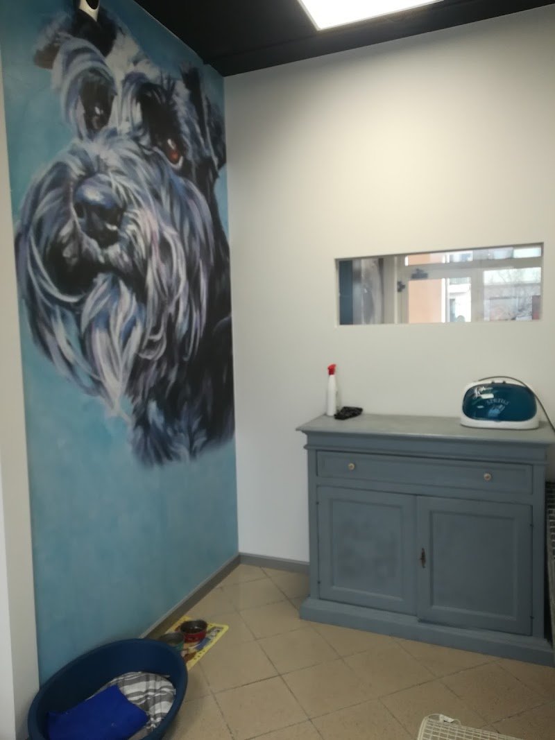 Toelettatura La spa di Snoopy - Foto 5