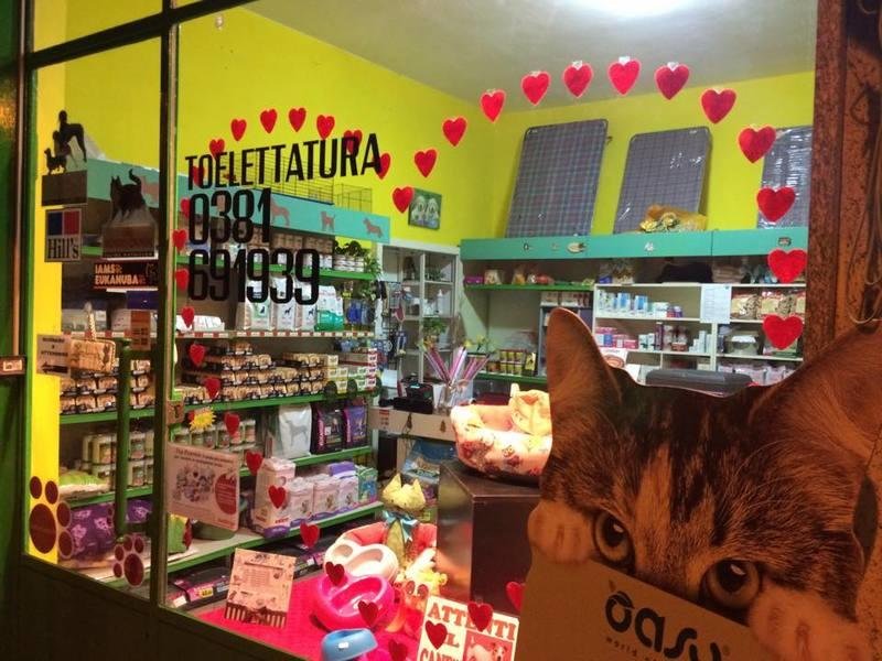 Toelettatura L'Arca Verde - Foto 1