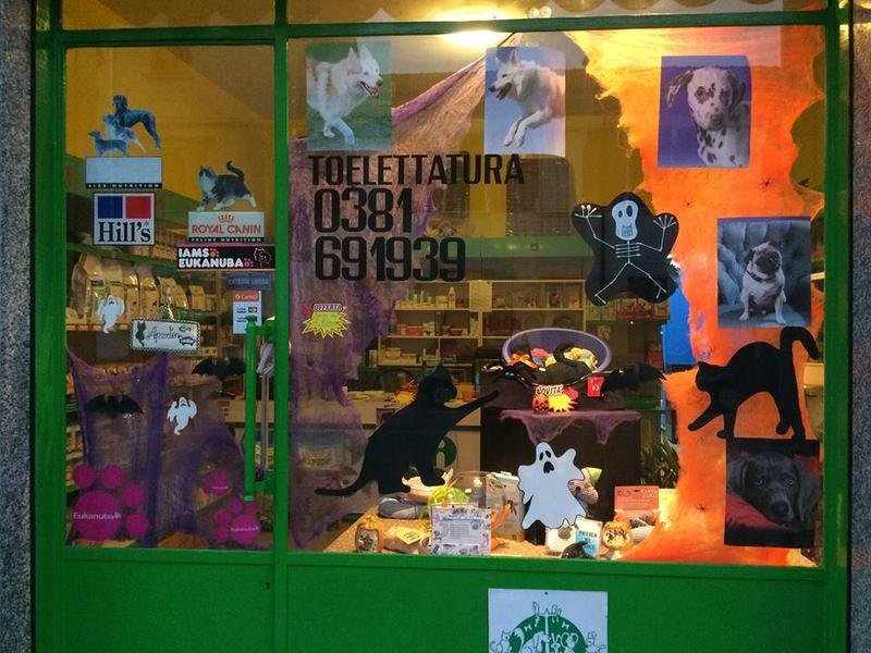 Toelettatura L'Arca Verde - Foto 4