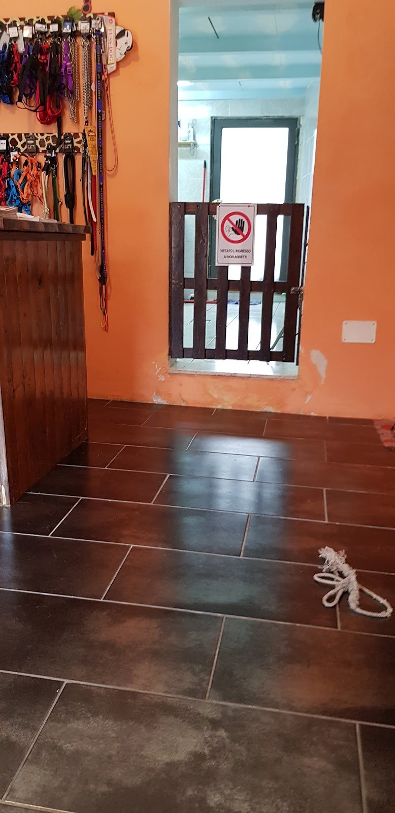 Toelettatura Le Otto Zampe - Foto 6