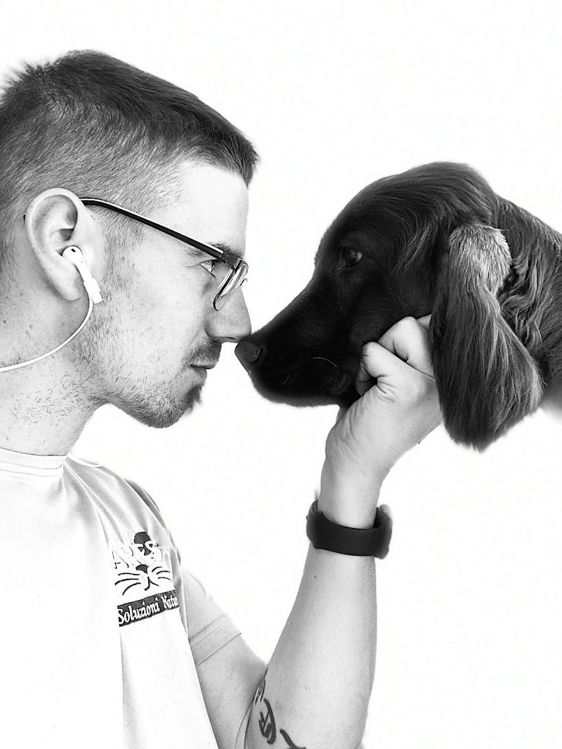 Toelettatura L'isola a 4 Zampe - Foto 5