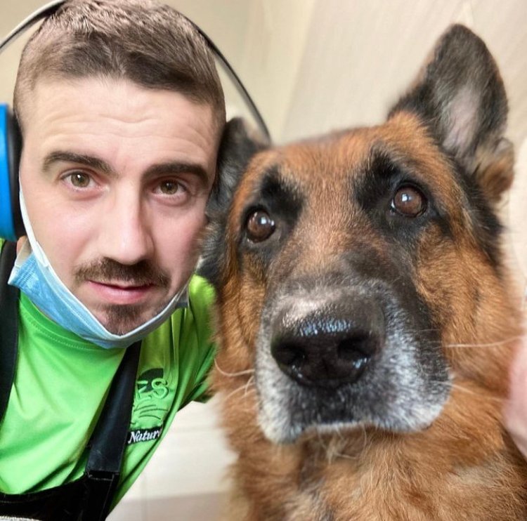 Toelettatura L'isola a 4 Zampe - Foto 6