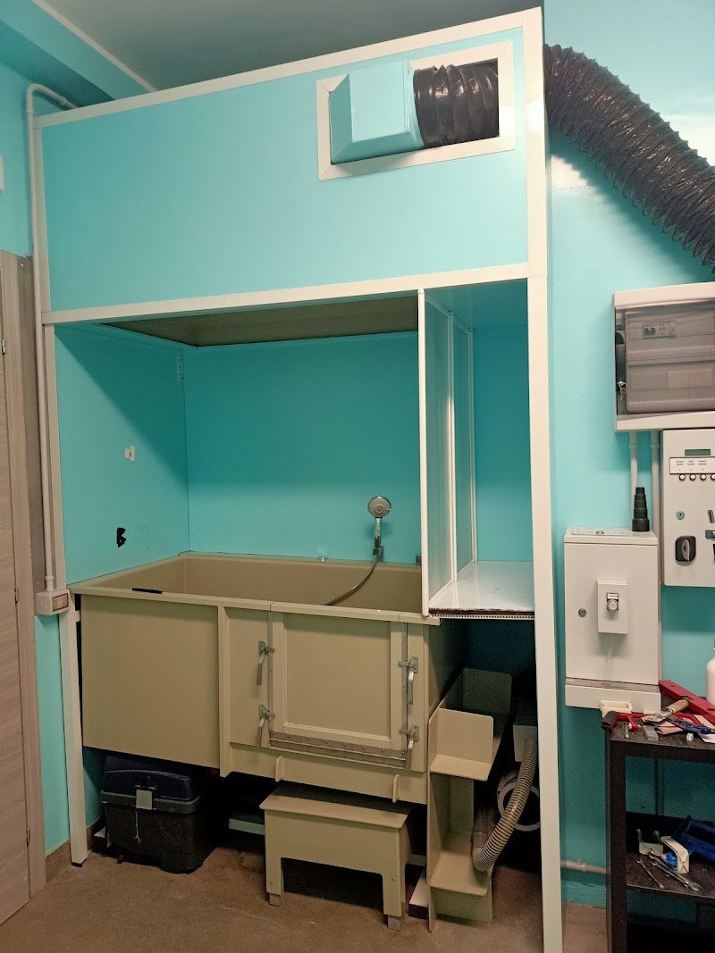 Toelettatura Malù - Foto 4