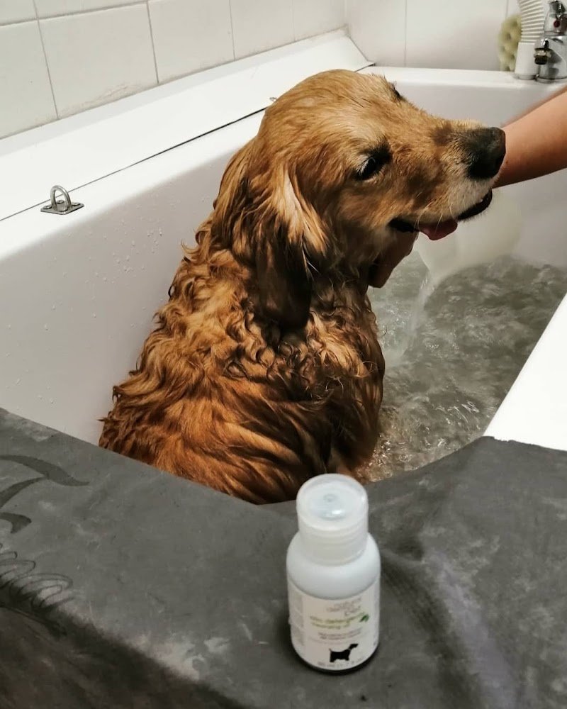 Toelettatura mi fido - Foto 4