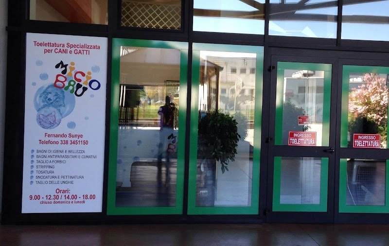 Toelettatura Micio Bau - Foto 1